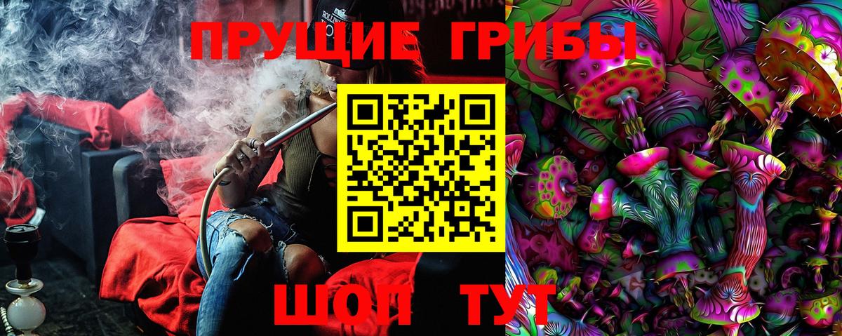 Псилоцибиновые грибы Psilocybe Муравленко