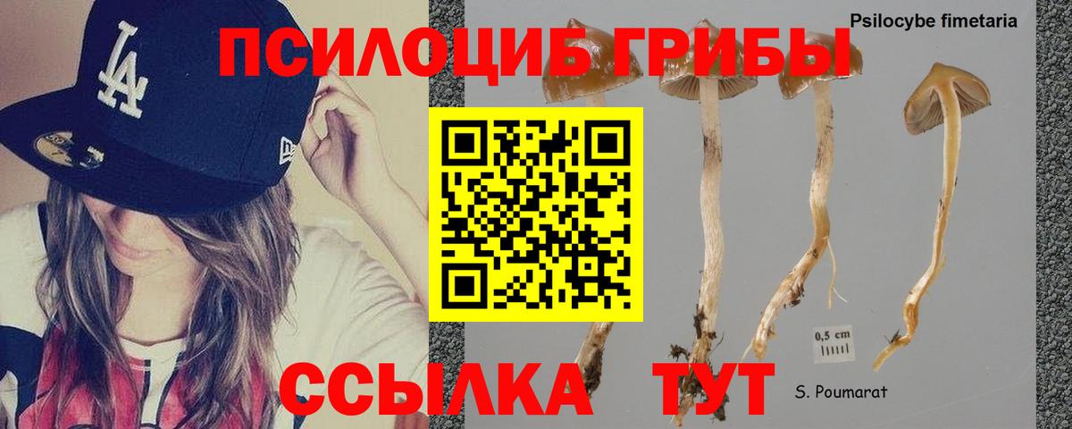 LSD-25 Муравленко